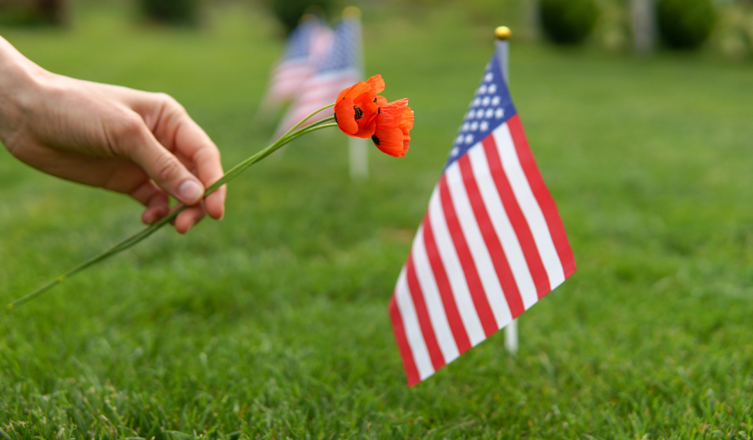 Laying poppy flower by American flag